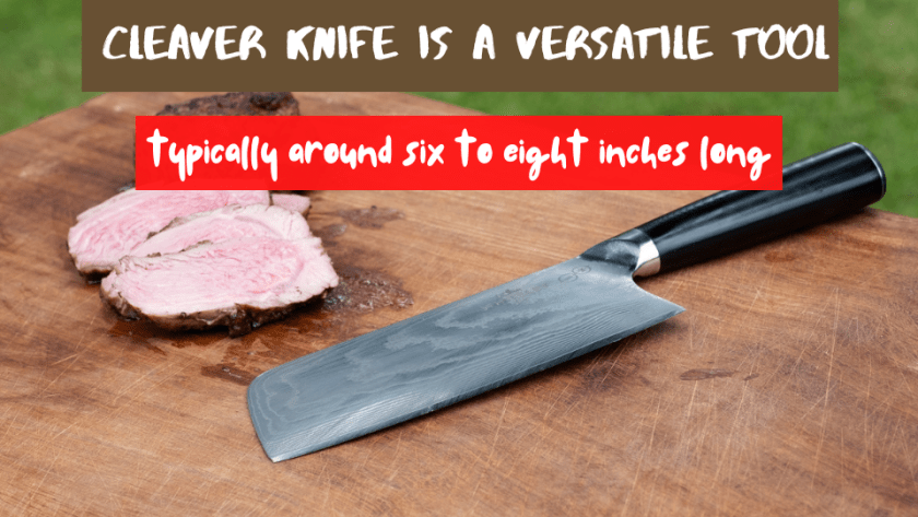 How Long Is A Cleaver Knife