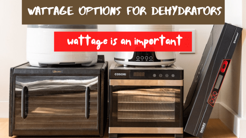 What Wattage Is Best For a Dehydrator